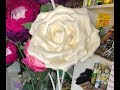 Ростовая роза для фотозоны из изолона. rose growth. large flowers