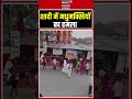 Viral Video : शादी में मधुमक्खियों का हमला | wedding ceremony  | Rajasthan | Shorts |