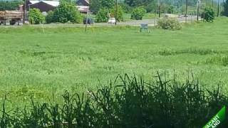 5 Acres in Clatskanie. Build your Dream Home