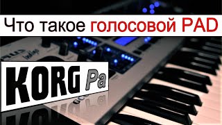 видео: Голосовой ПЭД может создать каждый! ПАД ⭐ KORG Pa900: Creating a PAD from voice sample~Korg tutorual картинка: Голосовой ПЭД может создать каждый! ПАД ⭐ KORG Pa900: Creating a PAD from voice sample~Korg tutorual