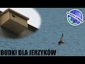 Budki dla jerzyków