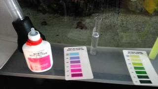 Saltwater master test kit