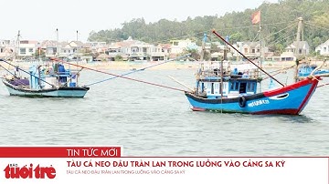 Tàu cá neo đậu tràn lan trong luồng vào cảng Sa Kỳ