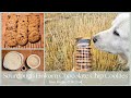 Easy Long-Fermented Einkorn Dark Chocolate Chip Sourdough Cookies