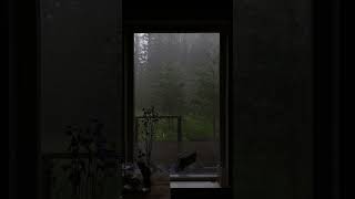 🌧️ Cozy Cabin Rain — Sleep in seconds 😴🔥