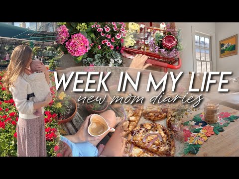 WEEK IN MY