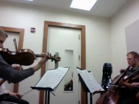 Barber String Quartet Op. 11 Mvmt. I 02-22-2010