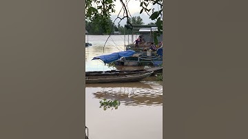 Câu cá trên bè - lên cá cóc chà bá