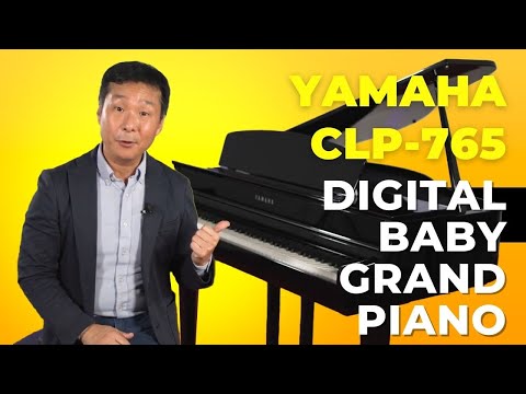 グランドピアニスト/Grand Pianist with YAMAHA hqdefault.jpg