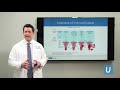 Treatment of Cervical Cancer - Joshua G. Cohen, MD | UCLA Obstetrics and Gynecology