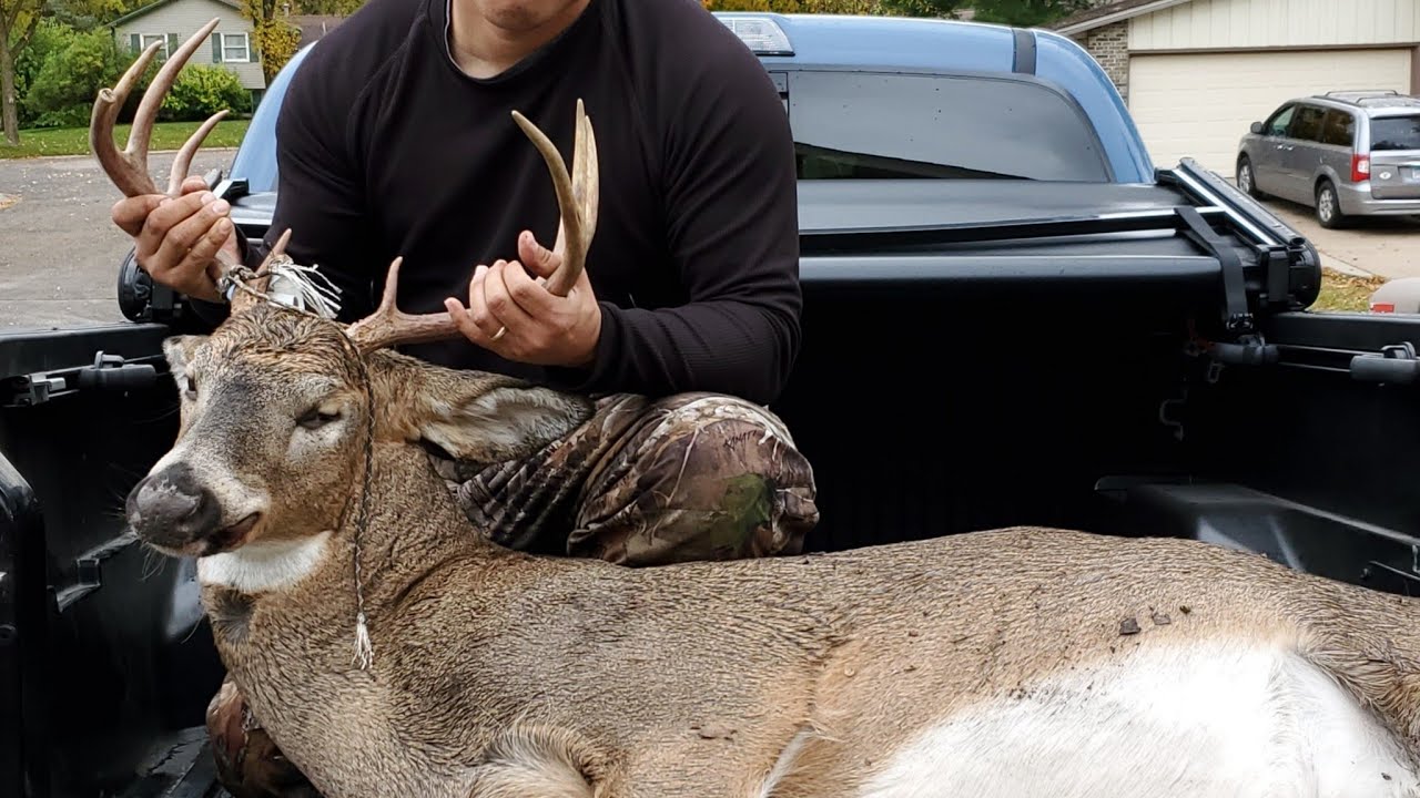 Minnesota Public Land Bow Hunting Buck Down YouTube