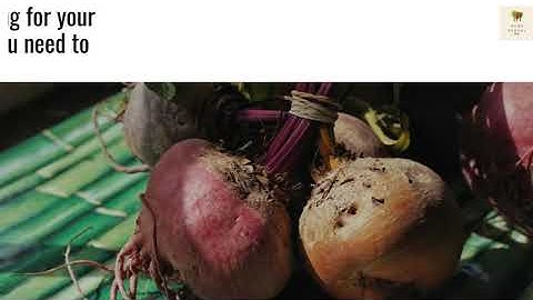 Beets 101 Review: All you need to know about BEETS