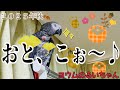 秋の「おとこぉ~♪」祭りだぼう!