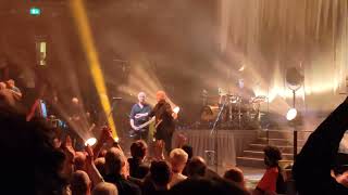 The Stranglers - Golden Brown (26/3/24, Royal Albert Hall, London, England, UK)