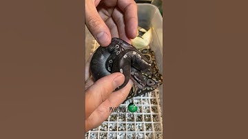 The #GHIMojave combo is always an attention grabber! #molinarosnakelab #ballpython #reptiles #eggs