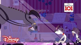 Nyomozó Kutyusok I Dalmata Utca 101 I Disney Csatorna