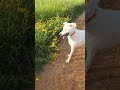 Когда наконец-то выспались 😊