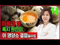 치매와 우울증을 예방하는 마음 보약, 영양제 말고 이것 드세요!