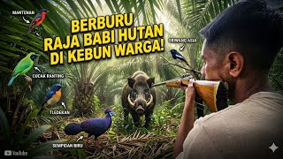48JAM SERU-SERUAN DILADANG_BERBURU BABI_MEMIKAT BURUNG DAN MEMANCING