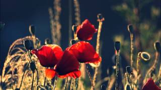 Կարմիր ծաղիկ մը գարունի - Ռ.Ամիրխանյան, Ս.Մարգարյան