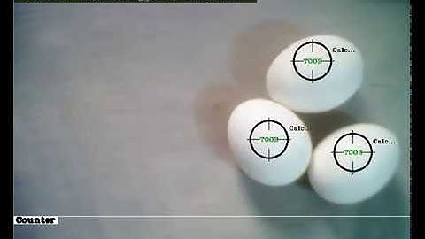 Egg counting using Python and OpenCV