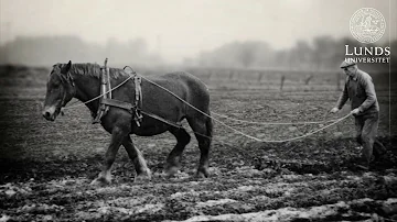 Vilket landskap tillhör Skåne?