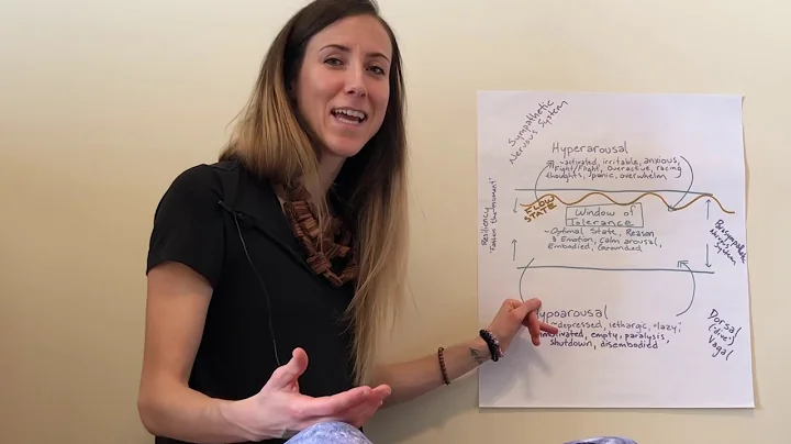 What is the Window of Tolerance