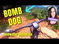 Riding BOMB DOG TRAIL│3 Mile Downhill Fun│COLDWATER  MOUNTAIN Biking│Lady Shredder