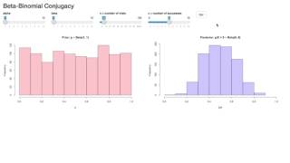 Beta Binomial Conjugacy (Shiny)