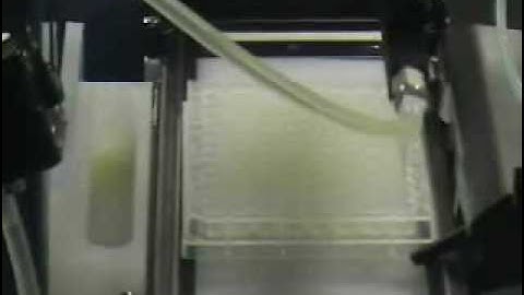 Hudson Robotics MicroFlex