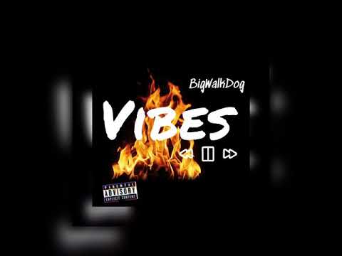 BigWalkDog – Vibes (Official Audio)