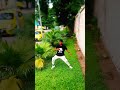 Freestyle dance vido by conski instagood beautiful fun fashion photooftheday