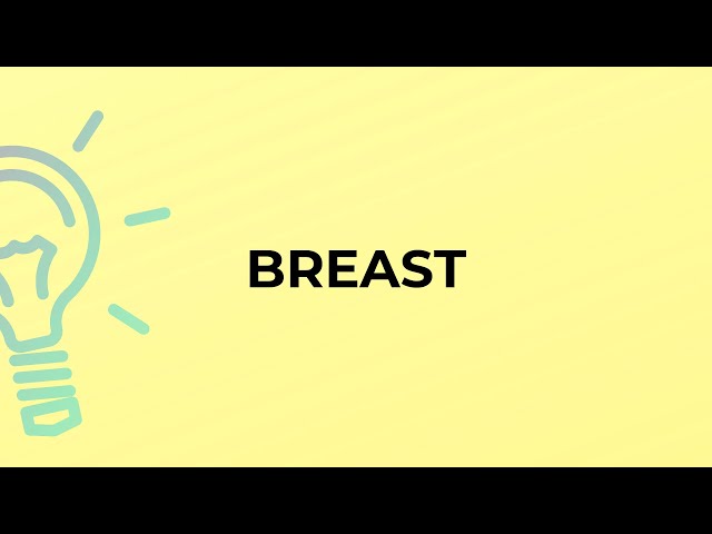 What is the meaning of the word BREAST? 