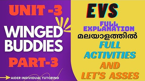 Std4 EVS  Unit 3 Winged Buddies explanation in malayalam Part  3/Class 4 EVS unit 3 winged Buddies 