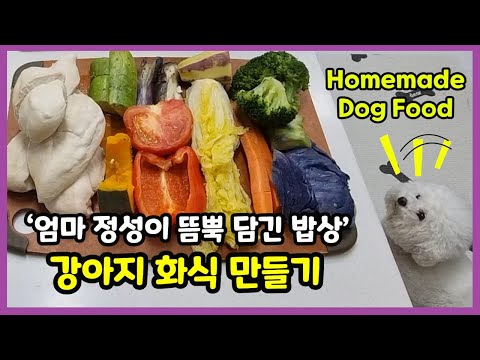 Video: Hjemmelaget Remedy for en kløende hund