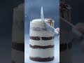 Cake… but it’s ICE CREAM?! 😳🍨🎂 #cake #viral #youtube #usa #shortsviral