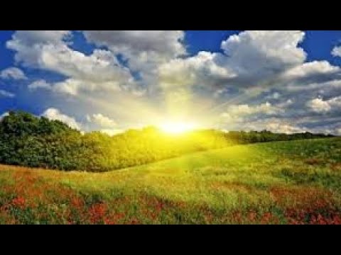 За твою вроду Іван Гавриляк авторська Suno ШІ Музика