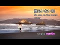 誰もいない海 /cover [歌詞・英訳付き] song by martin