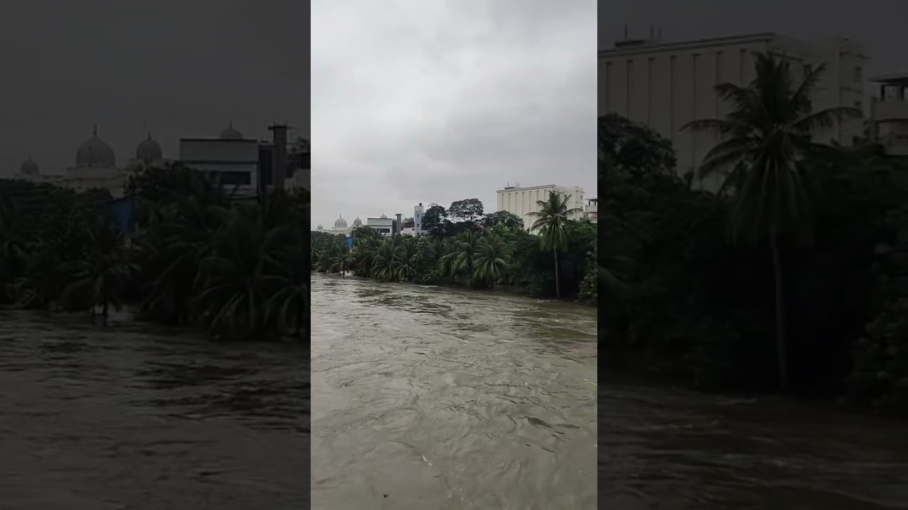 Musi | Whispers of the Musi |