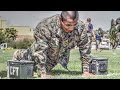 Proper CFT Techniques: Ammo Lifts, Maneuver Under Fire, Push-Ups