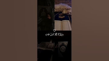 #ماهر_المعيقلي #quran #تلاوة_خاشعة #koran #تلاوة_هادئة #محمد_بكار