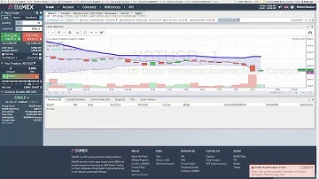 Margin Trading on Bitmex