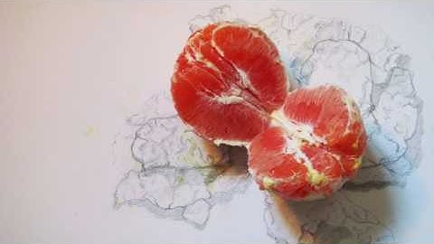 comparing apples to oranges