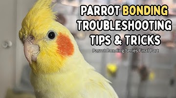 Bird Bonding & Taming Tips & Troubleshooting - Parrot Bonding Series Part 4 | TheParrotTeacher