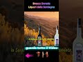 Quando la terra diventa un drink #sardegna #bresca