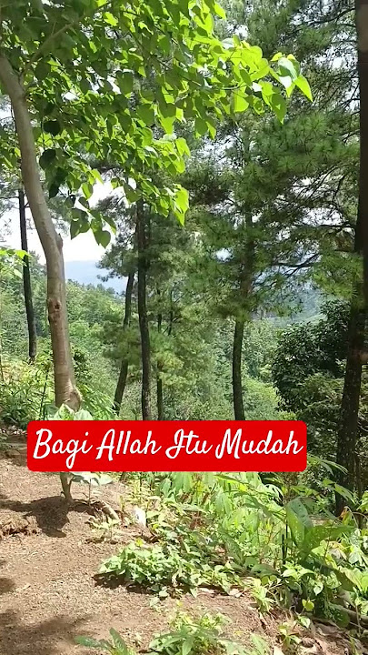 Bagi Allah itu Mudah #motivasislami #katakatabijak