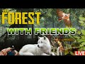 The forest with friends live   road to  200 subs