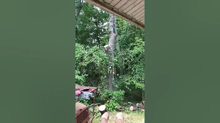 Another one