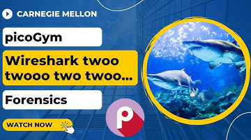 picoGym (picoCTF) Exercise: Wireshark twoo twooo two twoo...