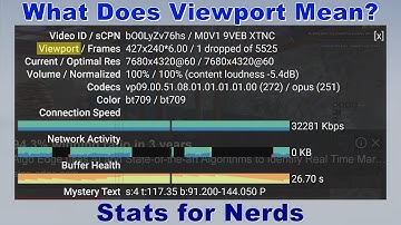 What Does Viewport Mean in Stats for Nerds on YouTube